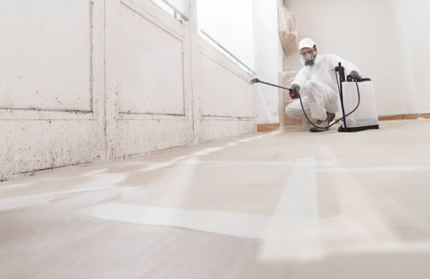 24/7 Emergency Basement Mold Removal experts in Trenton, GA